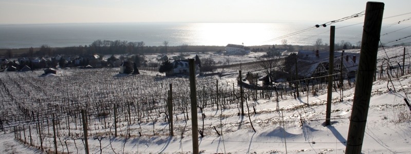 Sur la route des vins, Partie 1: Le Somló et le Haut-Balaton